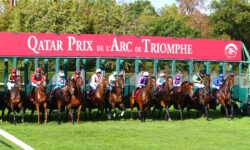 An exciting struggle between the elite of purebred Arabian horses…the start of the Qatar Prix Arc de Triomphe race