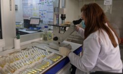 The upcoming pandemics are a human creation, and the Arabs may pay a heavy price
