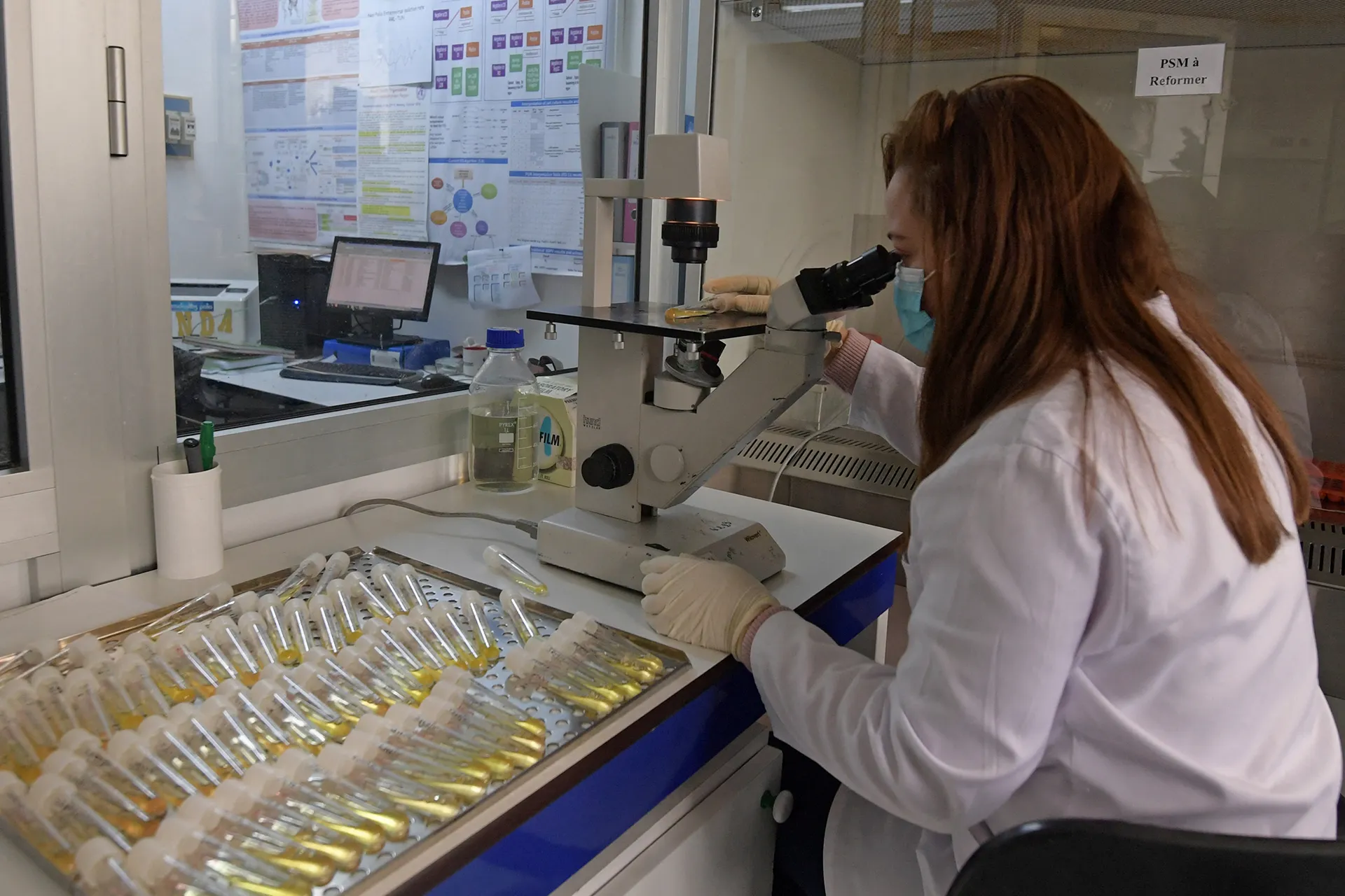 The upcoming pandemics are a human creation, and the Arabs may pay a heavy price